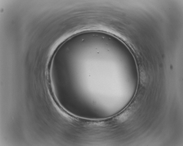 X0000070381519200606121240