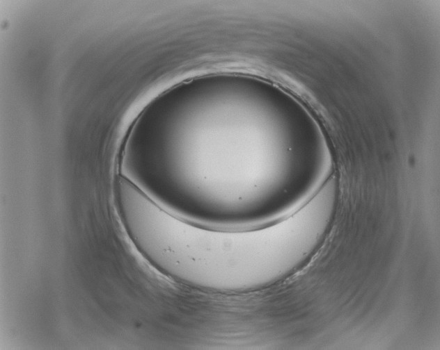 X0000070381520200606121240