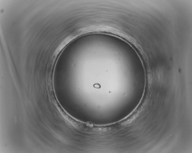 X0000070381521200606121240