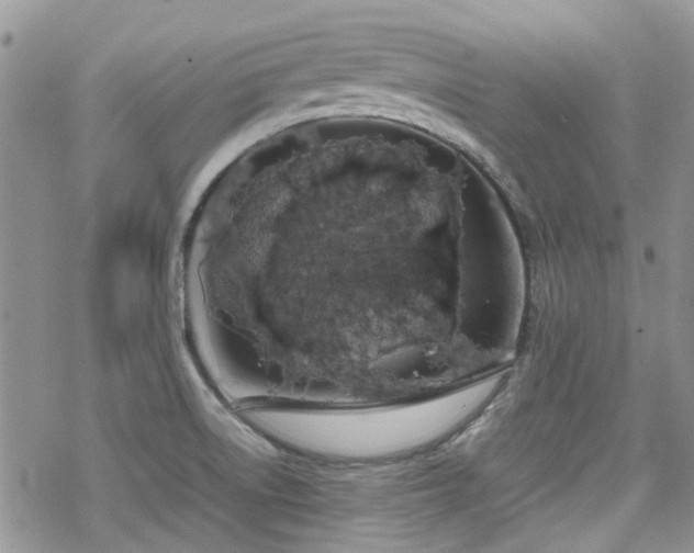 X0000070381522200606121240