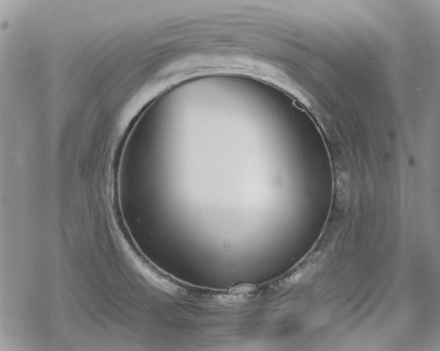 X0000070381523200606121240