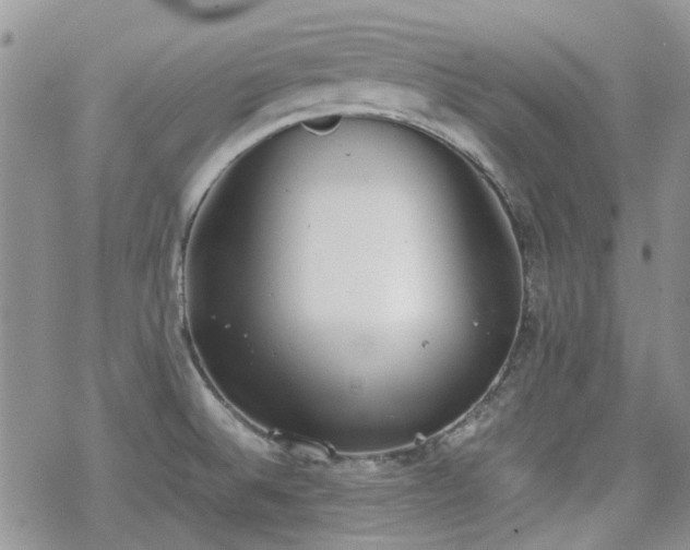 X0000070381524200606121240