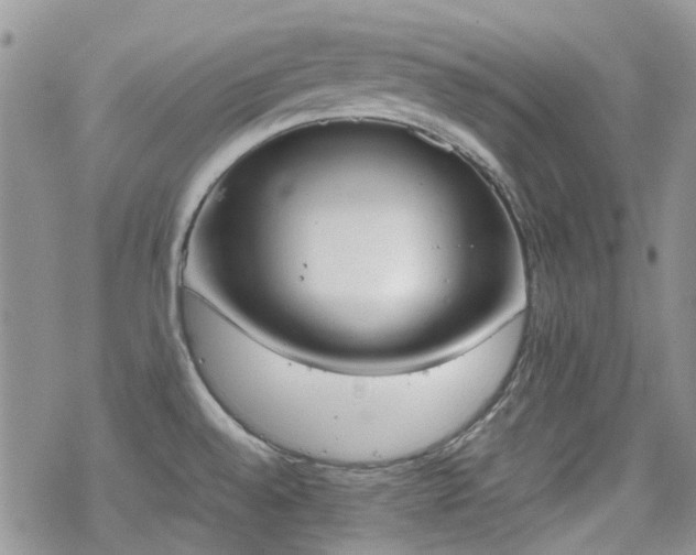 X0000070381528200606121240