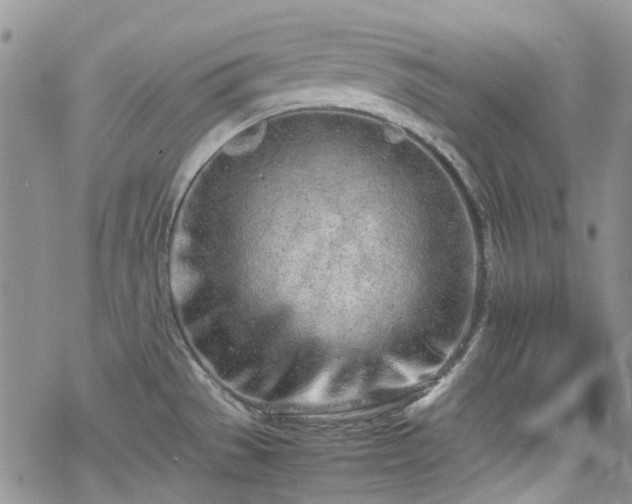 X0000070381529200606121240