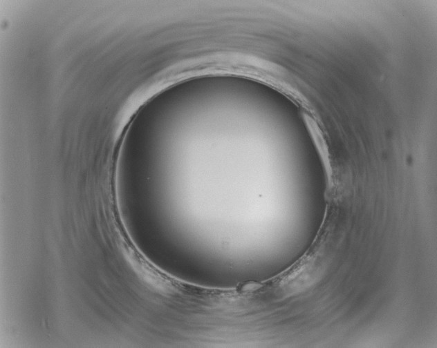 X0000070381530200606121240