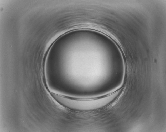 X0000070381533200606121240