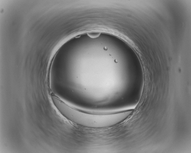 X0000070381536200606121240