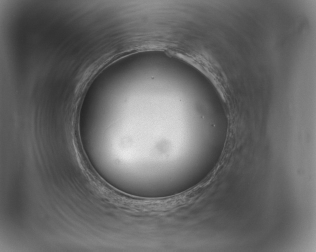 X0000070380001200606161356