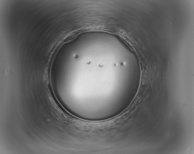 X0000070380002200606161356