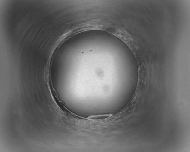 X0000070380003200606161356