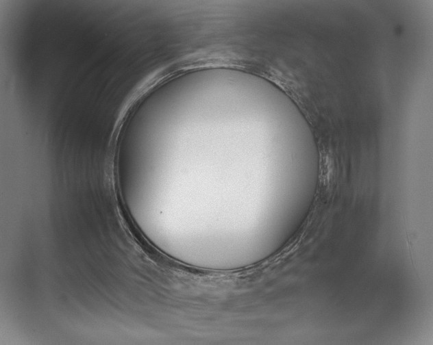 X0000070380004200606161356