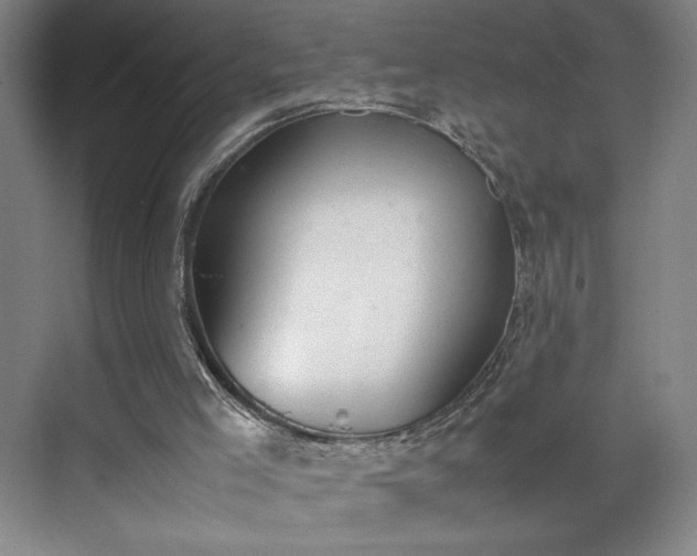 X0000070380005200606161356