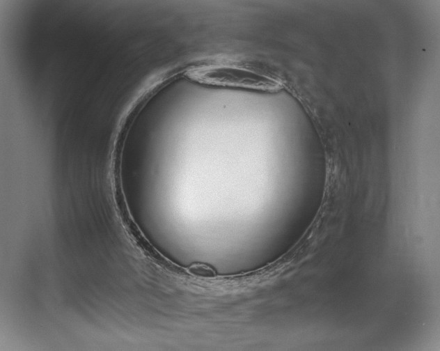 X0000070380006200606161356