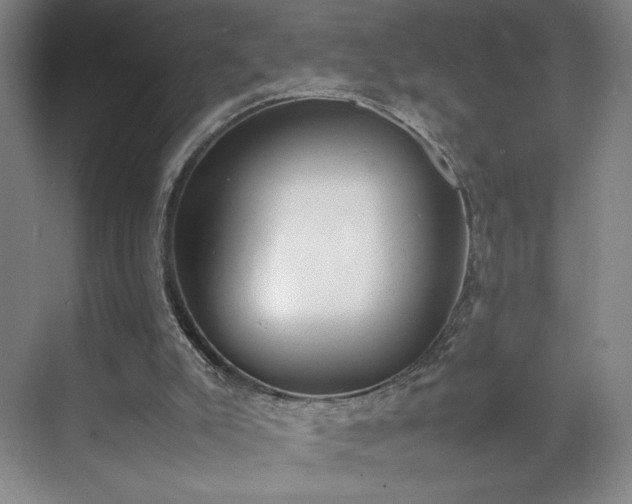 X0000070380007200606161356