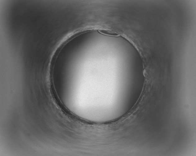 X0000070380008200606161356