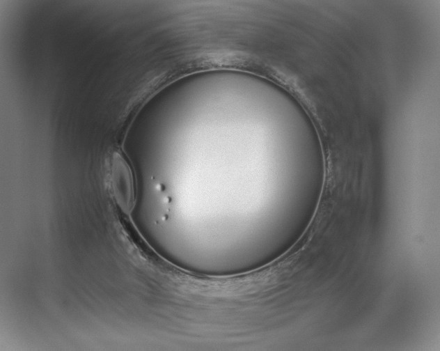 X0000070380010200606161356