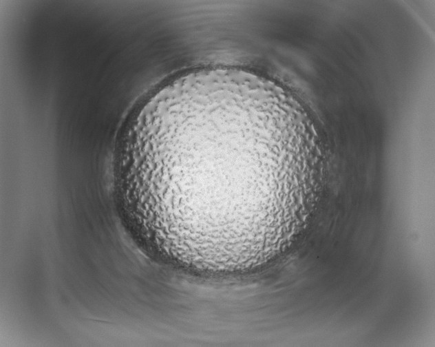 X0000070380012200606161356