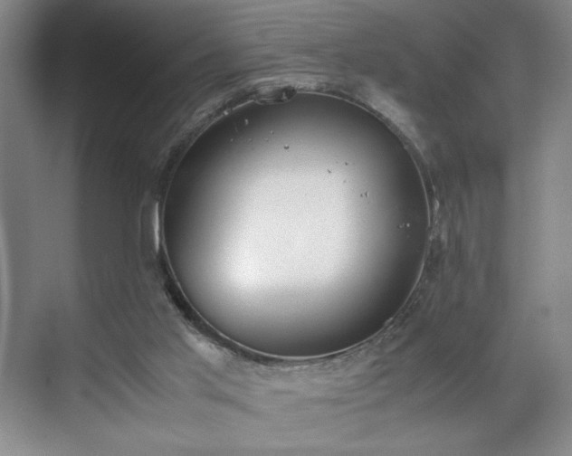 X0000070380013200606161356