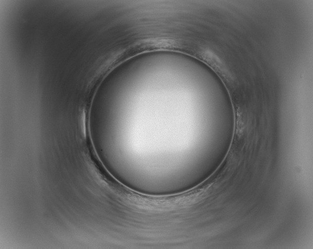 X0000070380014200606161356