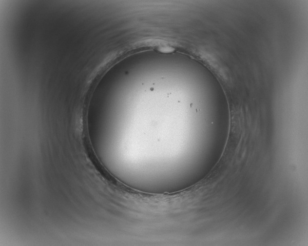 X0000070380015200606161356