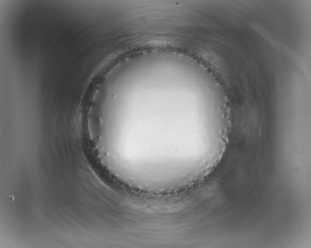 X0000070380016200606161356