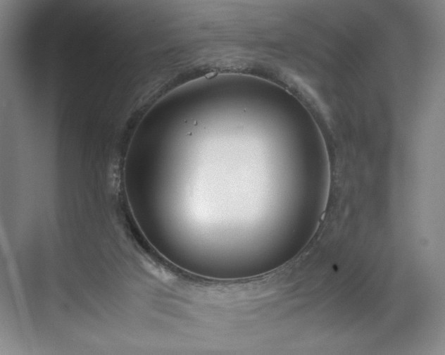 X0000070380017200606161356