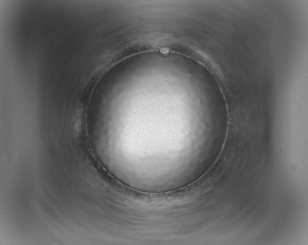 X0000070380018200606161356