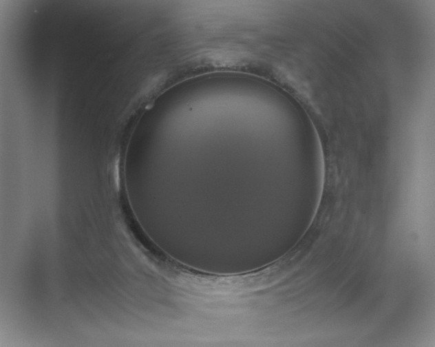 X0000070380019200606161356