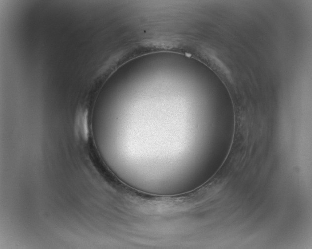 X0000070380020200606161356