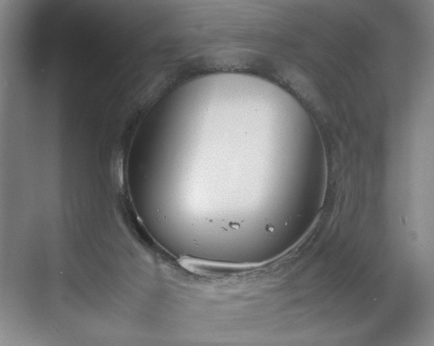 X0000070380021200606161355