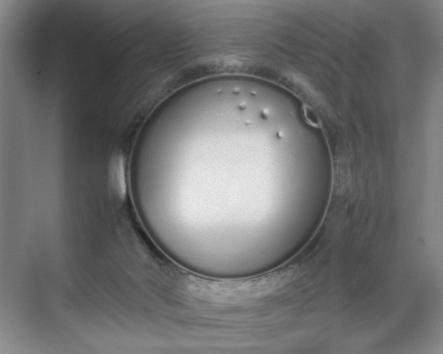 X0000070380022200606161355