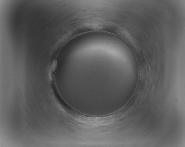 X0000070380023200606161355