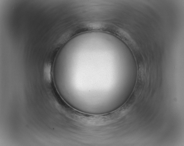 X0000070380024200606161355