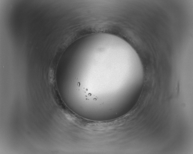 X0000070380025200606161355