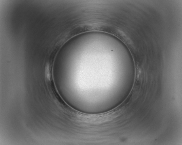 X0000070380026200606161355