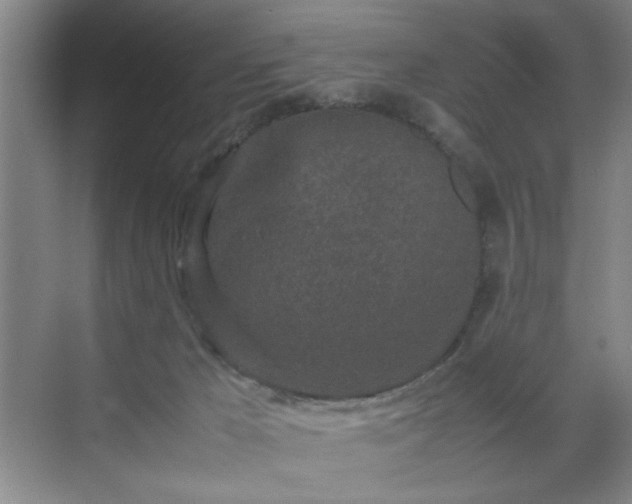 X0000070380029200606161355