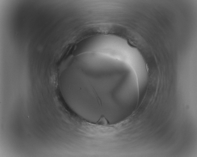 X0000070380031200606161355