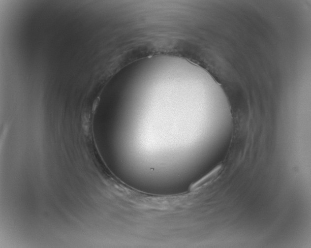 X0000070380033200606161355