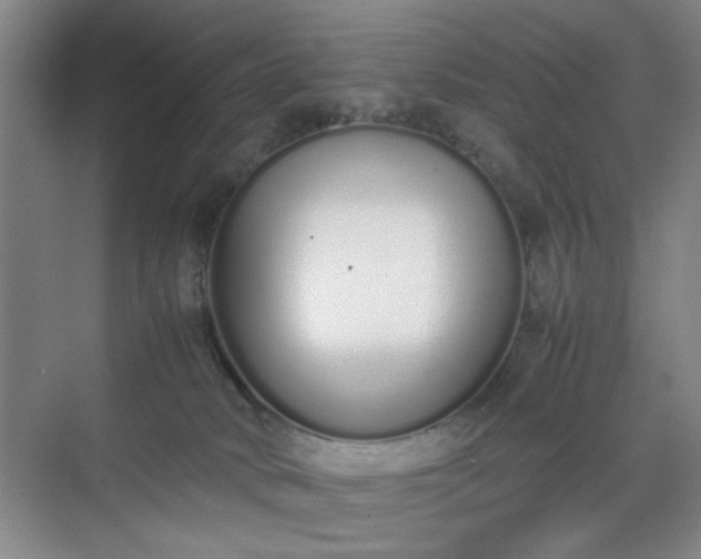 X0000070380034200606161355