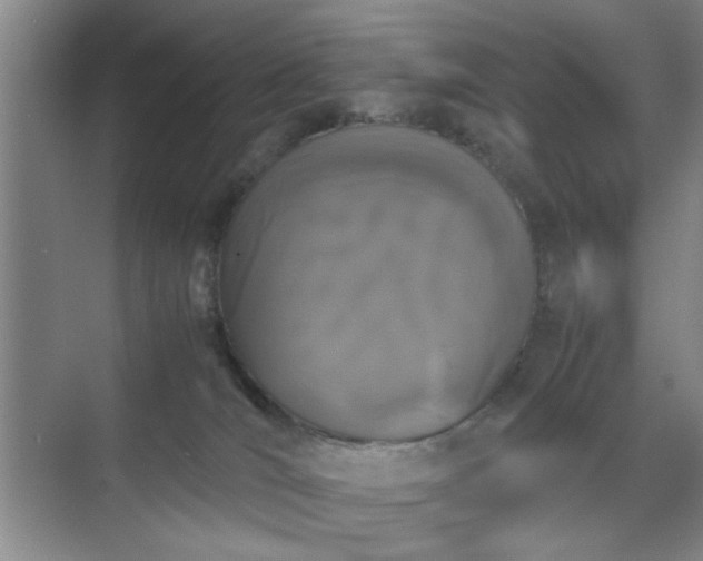 X0000070380036200606161355