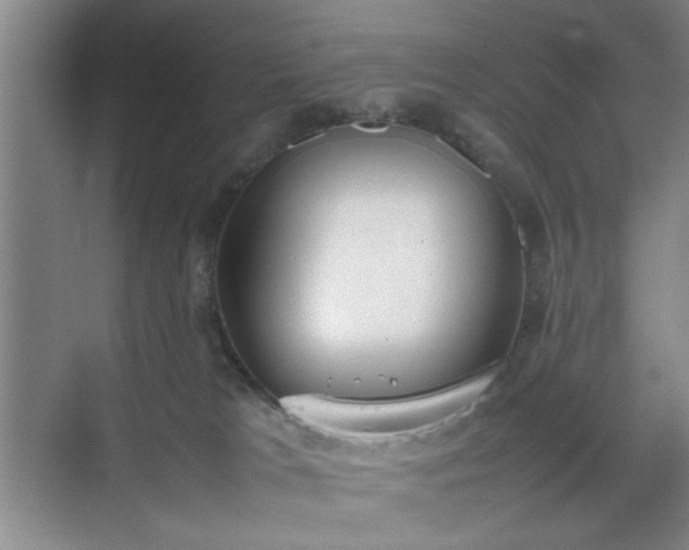 X0000070380037200606161355