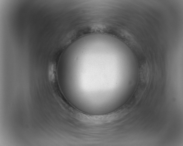 X0000070380038200606161355