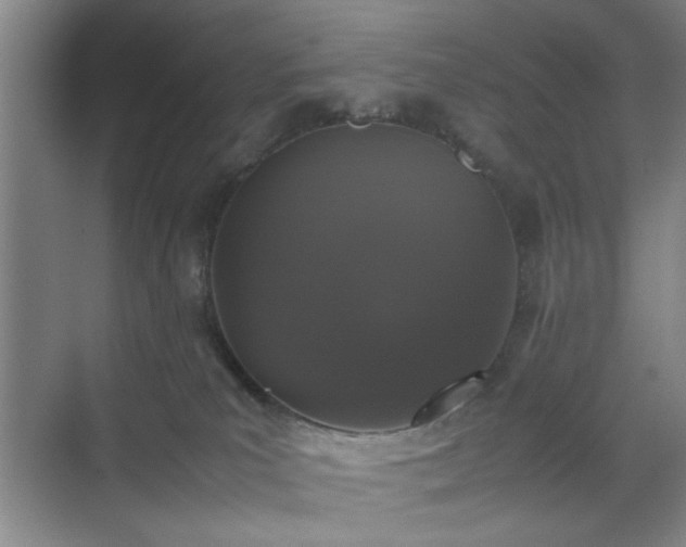 X0000070380039200606161355