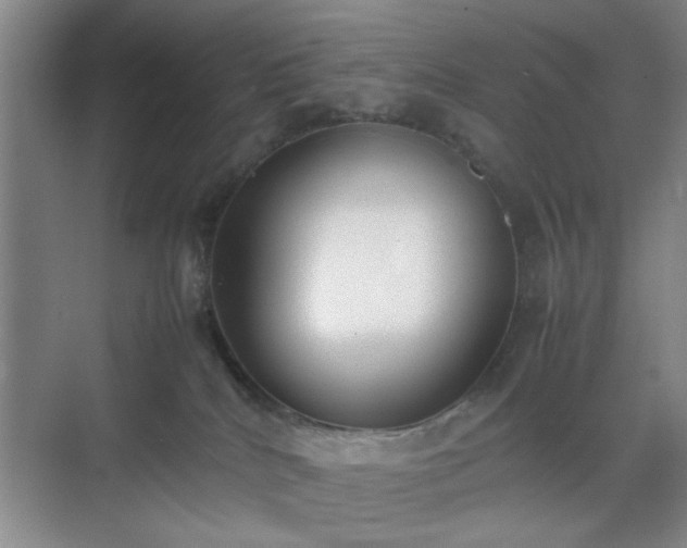 X0000070380040200606161355