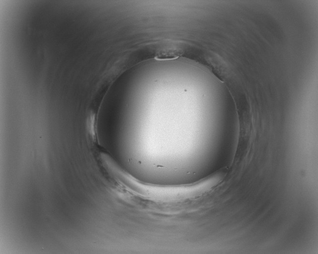 X0000070380041200606161355