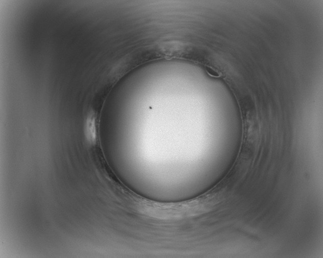 X0000070380042200606161355