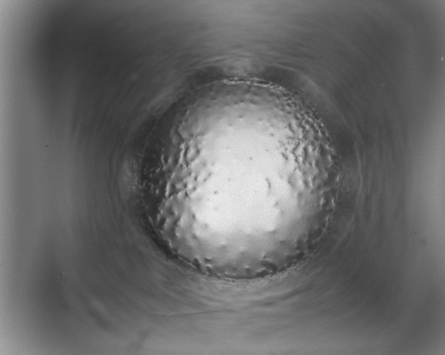 X0000070380043200606161355