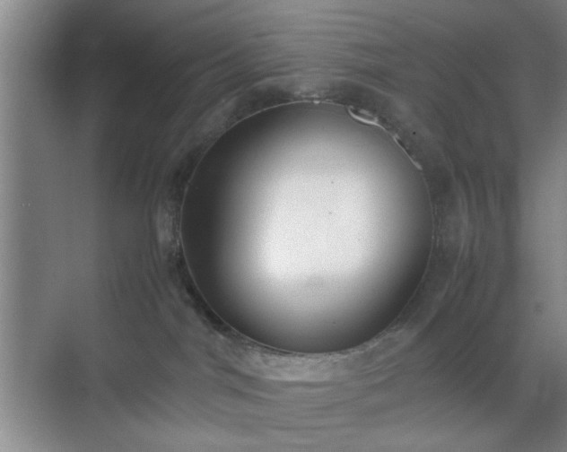 X0000070380044200606161355