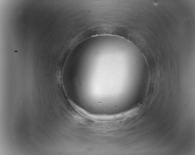 X0000070380045200606161355