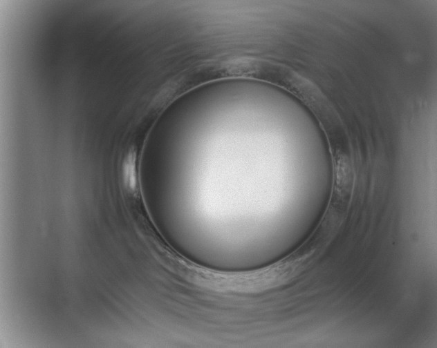 X0000070380046200606161355